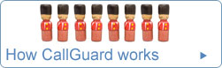 How CallGuard works