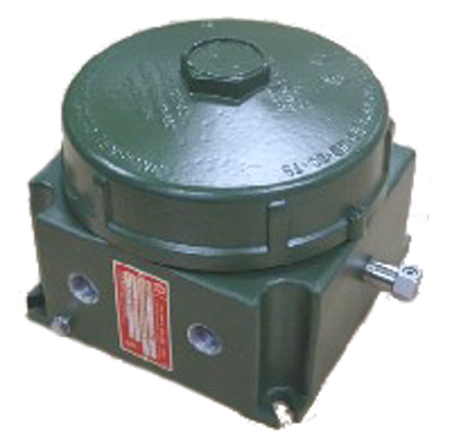 ATEX GUB Flameproof Enclosure